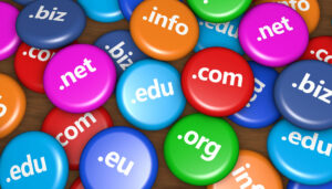 domain name registration